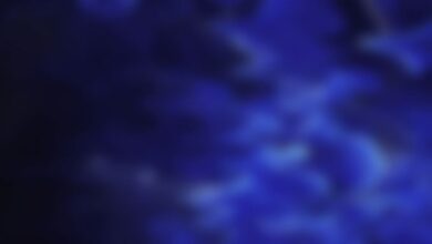 Enemy Engaged 2 Sistem Gereksinimleri (2026) Enemy Engaged 2 Sistem Gereksinimleri (2026) Sistem Gereksinimleri