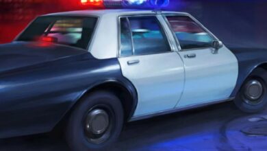 Police Stories Sistem Gereksinimleri (2026) Police Stories Sistem Gereksinimleri (2026) Sistem Gereksinimleri